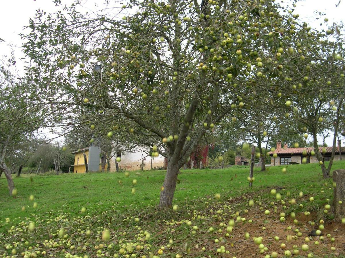 Turismo Rural El Sidron Piloña Exterior foto